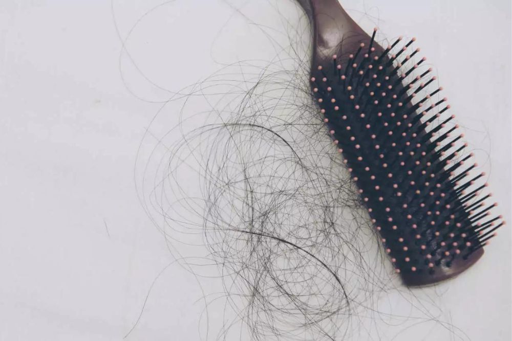 hair brush with hair