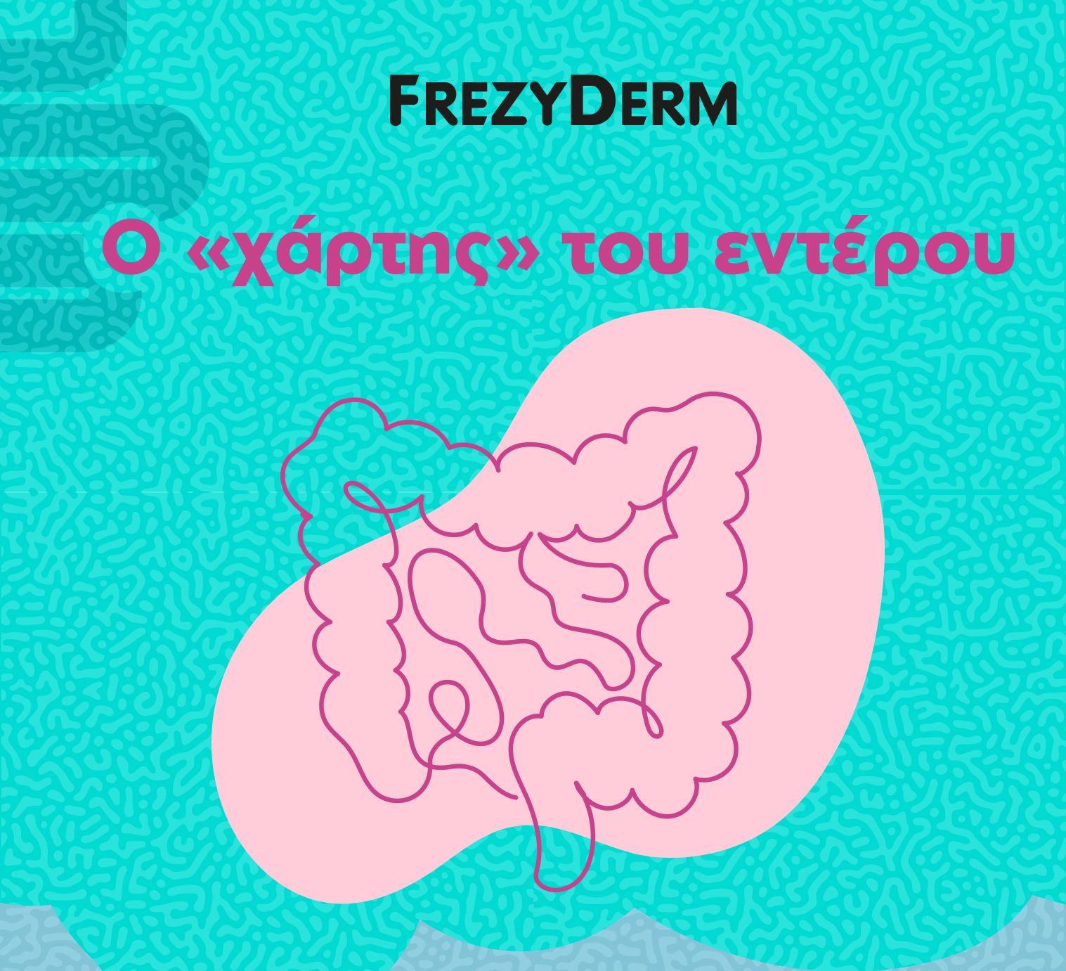 frezyderm infographic jan 2025 